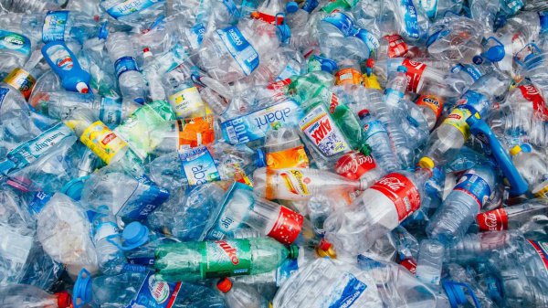Сотни тонн пластикового мусора ежемесячно вывозятся на алматинский полигон