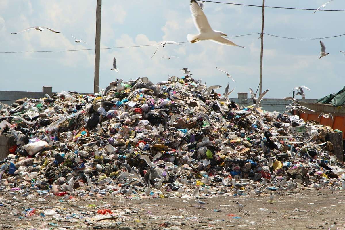 265 тонн отсортированного мусора сдали в Астане по проекту о раздельном сборе