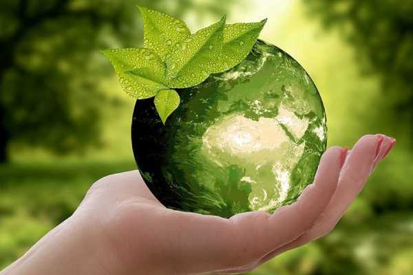 В ВКО планируют запустить проект "EcoJer"