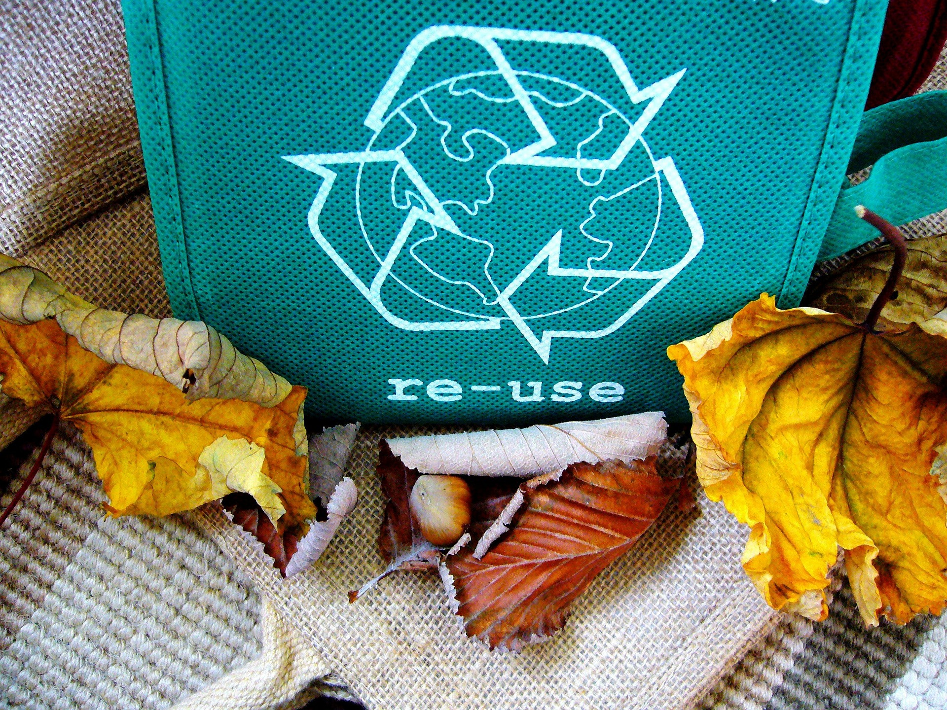 10 шокирующих фактов о мусоре