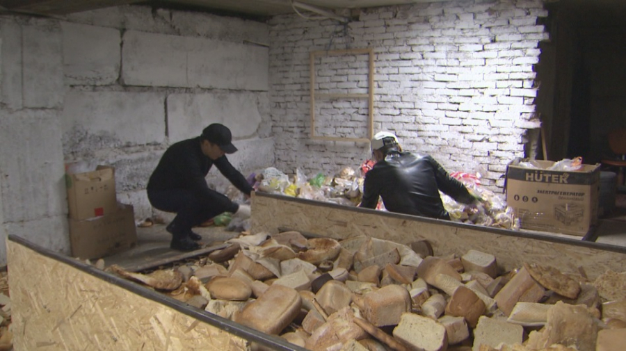 Оригинальный способ утилизации хлебных отходов придумали в Алматы 