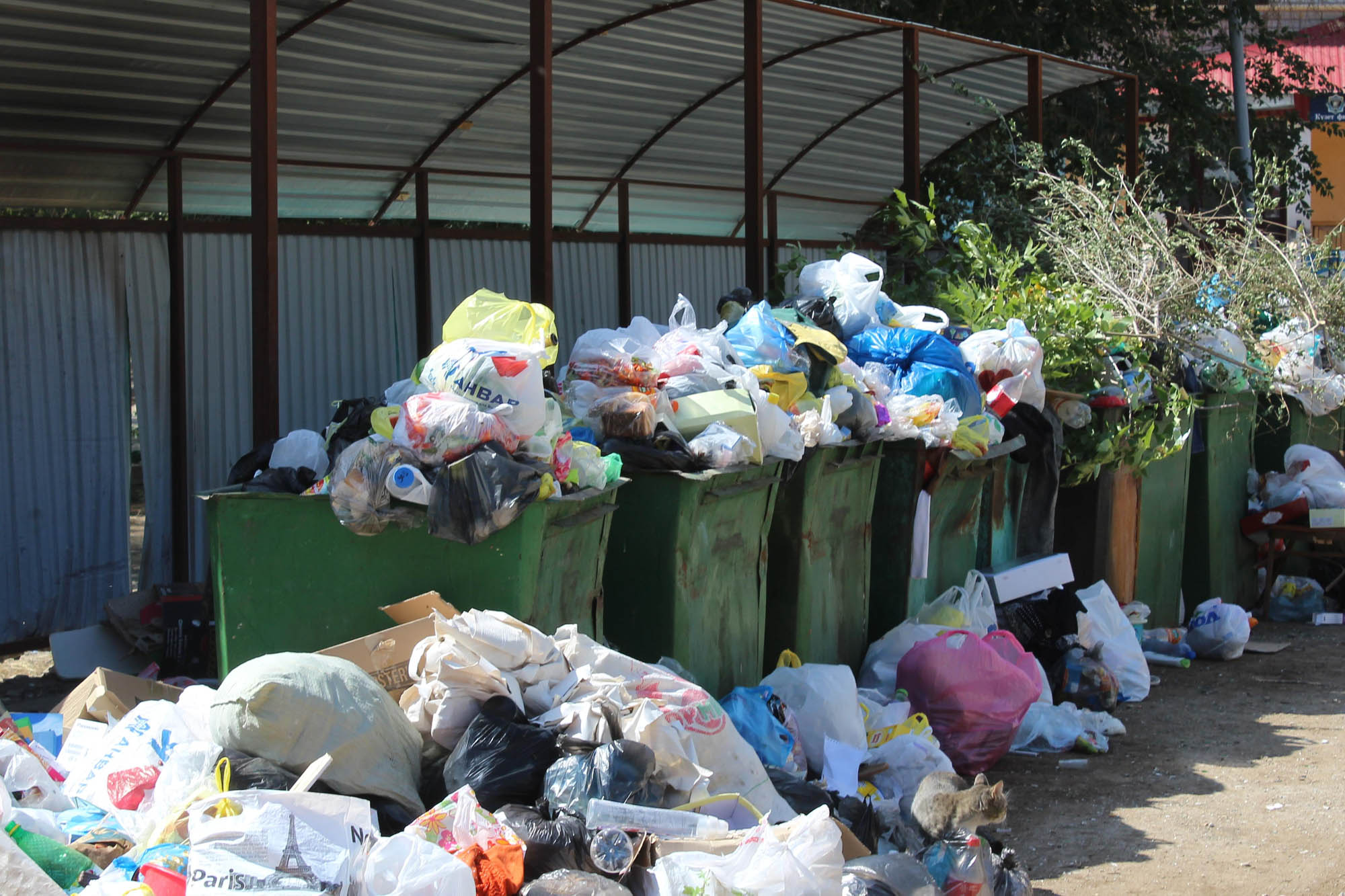 Ассоциация KazWaste бьет тревогу. Казахстану грозит «мусорный кризис» из-за моратория на выплату коммунальных платежей