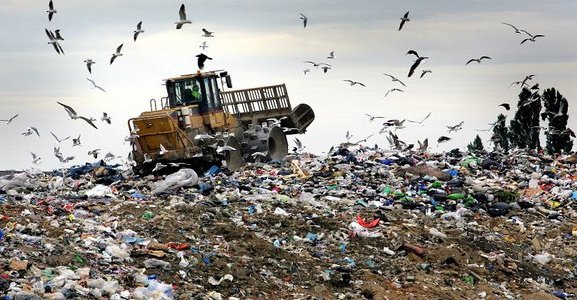 От риска к ресурсу: отходы могут способствовать устойчивому развитию