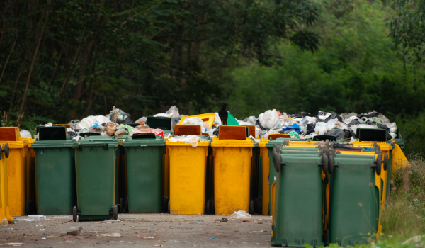 Как жители Усть-Каменогорска могут следить за порядком на мусорных площадках